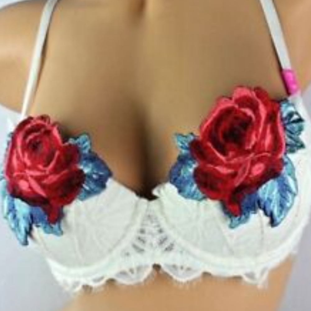 Victoria Secret Pink Date Push Up Red Rose Lace 34C Valentine's Bra Underwire